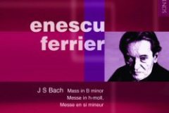 BBC-40082-G.-Enescu-K.-Ferrier